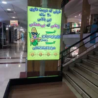 همکار آقا ،نیمه وقت صبح،