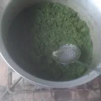 قورمه سبزی سرخ شده خوش طعم و عطر و تمیزوبهداشتی|خوردنی و آشامیدنی|نیشابور, دهنو|دیوار
