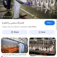 نیاز به کارگر ساده برای شیفت روز