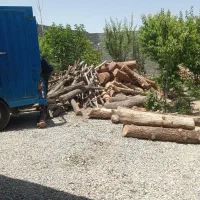 خریدار انواع چوب درختان میوه و