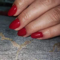 نیازمند مدل