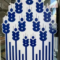 استخدام کارگر ساده در فروشگاه