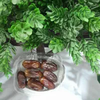 خرمای رژیمی تک نفره|خدمات پذیرایی، مراسم|رامشیر, |دیوار