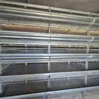 فروش خط تمام مکانیزه قفس پرورش بلدرچین|ماشینآلات صنعتی|فامنین, |دیوار