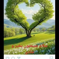 نان سنگک راهنمایی مخام