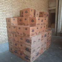 استخدام