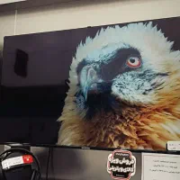 تی وی 50 دوو اقساط جشنواره(طالقانی اراک)