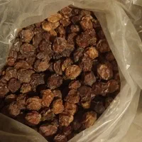 سلام نلک خشک وتمیز تقریبا۲۰کیلو بفروش می رسد