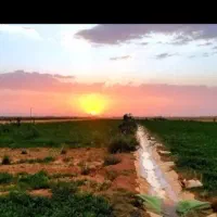 زمین-فروشی-طرح-هادی-خیراباد
