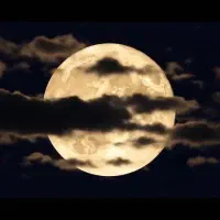 سیمکارت کد 4