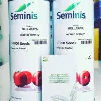 فروش انواع بذر گوجه فرنگی و هندوانه و پیاز|خدمات باغبانی و درختکاری|فراشبند, |دیوار