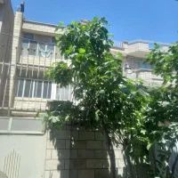 هروی ،85 زمین دو نبش با جواز آماده ساخت