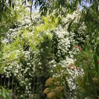 خونه-باغ-دوطبقه-ویو-ابدی