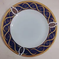 سرویس ۲۴ نفره