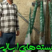 نهال بادام اصل نهالستان سالم|خدمات باغبانی و درختکاری|آباده, |دیوار