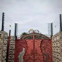 حصار الکتریکی/فنس/فنس الکتریکی/حصار/شاخ گوزنی