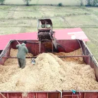 حمل بار از اسالم به فومن