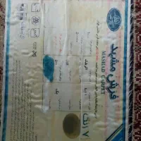 دو عدد فرش ۹ متری|فرش|آمل, |دیوار