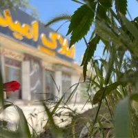 زمین-250-متری-مشاع-گویم-یا-فاز3صدرا-ذخیره-مسکونی