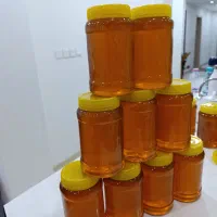 عسل درجه یک مرکبات و گون از تولید به مصرف|خوردنی و آشامیدنی|شیراز, چنچنه|دیوار