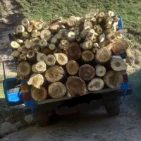 خرید چوب|خدمات پیشه و مهارت|مراغه, |دیوار