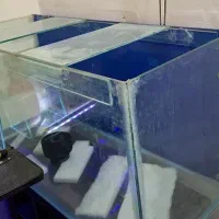 آکواریوم یک متری تمیز با بکگراند