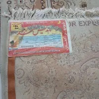 فرش ۶ متری ماشینی|فرش|قزوین, |دیوار