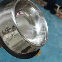 ظرف غذا گربه، شامپو گربه، برس شستشوی گربه سگ.