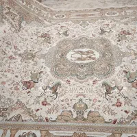 5عدد فرش 700شانه پاتریس