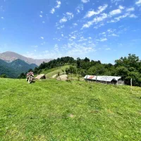 دربستی از ماسال به تمام نقاط کشور|خدمات حمل و نقل|ماسال, |دیوار