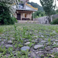 ( اجاره ویلا جنگلی بهشت با دسترسی آسان )|اجارهٔ کوتاهمدت ویلا و باغ|فومن, |دیوار