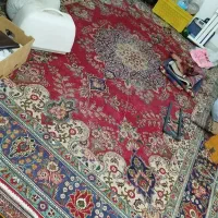 فرش دستبافت|فرش|شیراز, گلکوب|دیوار