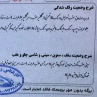 207 مدل99tu5 فرمون برقی چهار چرخ دیسک|خودرو سواری و وانت|اصفهان, مرداویج|دیوار