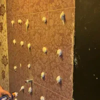 رنگ کاری منزل شما با بهترین کیفیت/ضمانت کتبی شرکتی|خدمات پیشه و مهارت|تهران, امیرآباد|دیوار