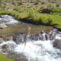 شماره تماس دهداریا رییس شورای پیرآلقیر رامیخواستم