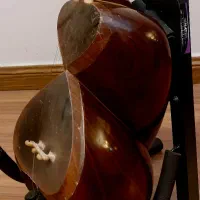 تار داوود علیاری|سازهای سنتی|تهران, پونک|دیوار