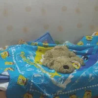 سرویس چوب کودک و نوجوان|اسباب و اثاث بچه|مشهد, ارشاد|دیوار