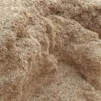کاه نرم گندم