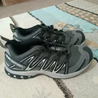 کتونی سالامون