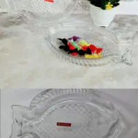 دیس مدل ماهی