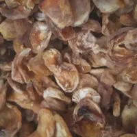 برگه زردآلو