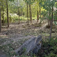 فروش-زمین-751-متری-در-خمام