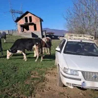 ماشین سمند ef7دوگانه کارخانه