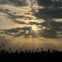 سرمایه گذار میخوام