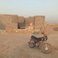 بنای سفت کار|خدمات پیشه و مهارت|بندر گناوه, |دیوار