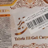 قالیچه ۱ در ۱ و نیم|فرش|شهریار, شهرک وائین|دیوار