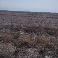 زمین|اجارهٔ دفتر صنعتی، کشاورزی، تجاری|گنبد کاووس, |دیوار