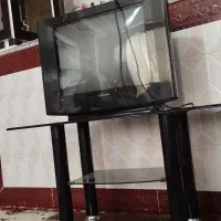 تلویزیون سامسونگ میز|تلویزیون و پروژکتور|مراغه, |دیوار