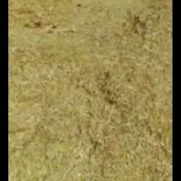 کاه عدس