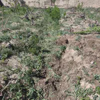 زمین-با-سند-سبز-در-خوگان-با-دسترسی-مناسب
